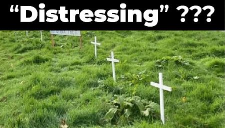 BBC says display of white crosses is 