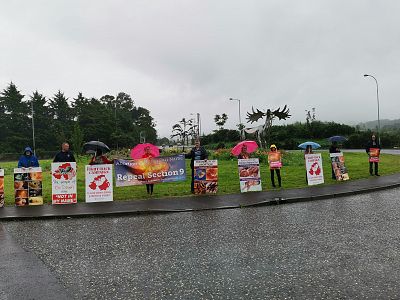 People of South Down brave rain to ask local representatives to Repeal Section 9