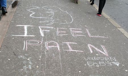 Innocent Pro-Life Chalk Messages Spark Outrage!