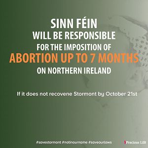 4 DAYS LEFT to stop Westminster's ferocious abortion law: CONTACT Sinn Fein today and hold them to account