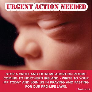 URGENT ACTION ALERT (5 July 2019)