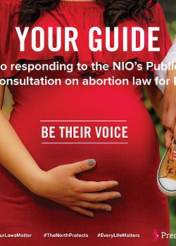 Your Guide to Responding to the NIO's Public Consultation