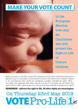 Vote Pro-Life leafet