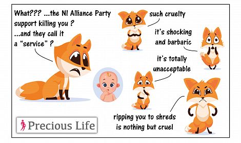 Hypocrisy -  ALLIANCE PARTY want to ban