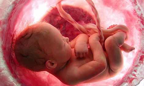 Horrific NI Abortion Bill signed into Law