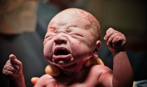 766 babies were born alive after botched abortions in Canada and allegedly left to die